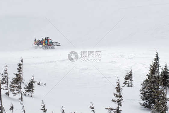 自由式滑雪板图片