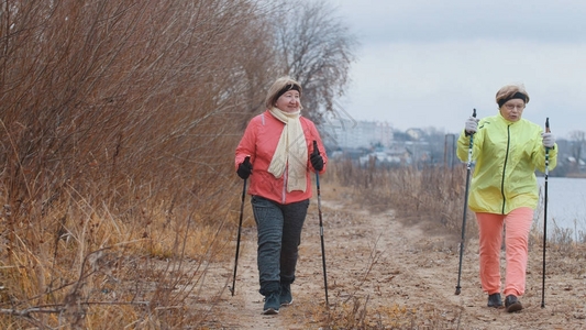 运动,健康秋季公园的两名老年妇女接受现代健康训练背景