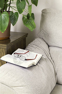 沙发扶手上的书和眼镜上面有一些绿色植物图片