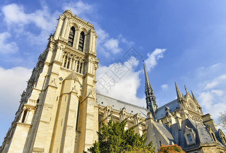 巴黎圣母院秋季的立面法国图片