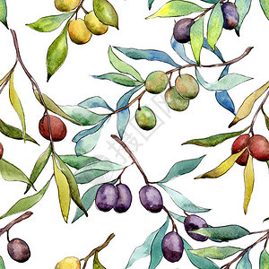 水彩风格的橄榄树图案图片