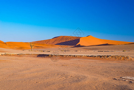 黎明时分在纳米布沙漠的沙丘图片