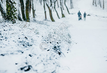 暴风雪在公园冬天风景图片