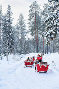 芬兰拉普兰Rovaniemi冬季森林中乘坐驯鹿雪图片