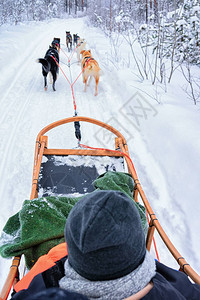 在芬兰拉普兰罗瓦涅米男子冬季在拉普图片