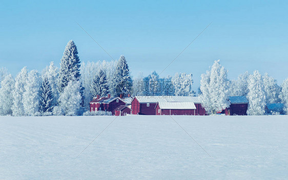 芬兰拉普兰冬季农村的棚图片