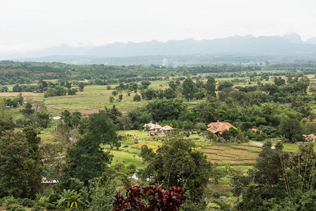 泰国农村地貌早上的森林和山区图片