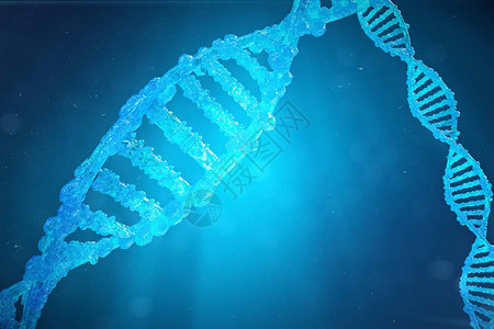 带有修饰基因的螺旋DNA分子通过基因工程纠正突变概念分子遗传学图片