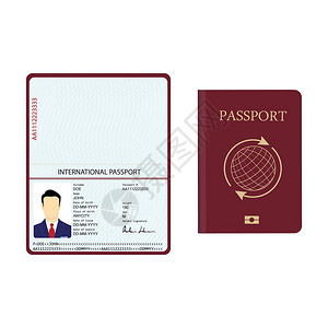 带有生物特征数据的光栅插图护照身份证明文件带有样本个人数据页的图片