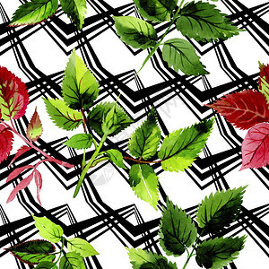 水彩风格的玫瑰图案的叶子背景纹理包装图案框架或边图片