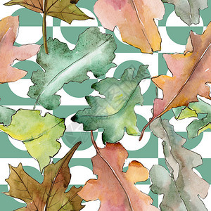 水彩风格的橡树叶图案背景纹理包装图案框架或边图片