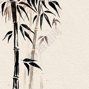 日本风格的竹子水彩手绘插画图片