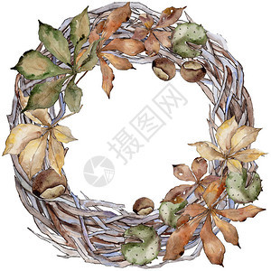 秋天的栗子叶植物园花卉叶子框架边框装饰广场背景纹理包装图案框架或边图片