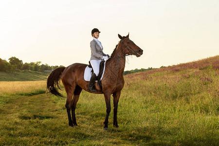 马术运动骑上马的年轻女子马术高级测试图片