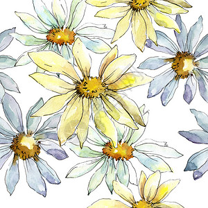 白菊花花花卉植物花无缝的背景图案织物墙纸打印背景质地包装图案框架或边框的水彩画野花图片