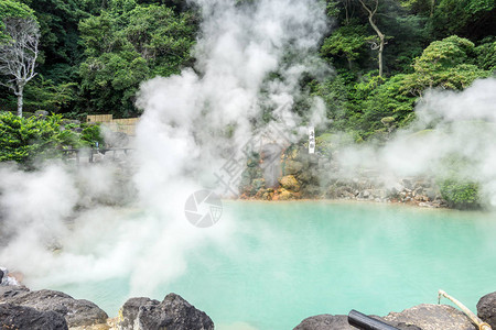 乌米吉戈库或海被带到贝普蒸汽温泉间歇喷泉从钴水中蒸出来摄于日本北浦图片
