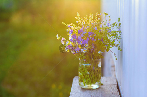 夕阳背景下花瓶中野紫罗兰的夏日花束图片