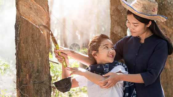 美丽的亚洲妇女和她的孩子在橡胶种植园泰国图片