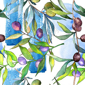 水彩风格的橄榄树无缝背景图案织物壁纸打印纹理植物全名图片
