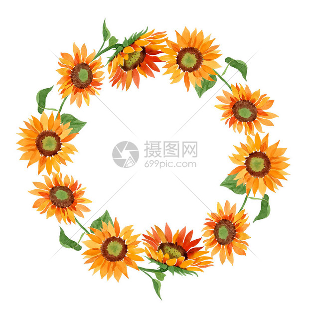 水彩橙色向日葵花卉植物花框架边框装饰广场背景纹理包装图案框架或边框图片