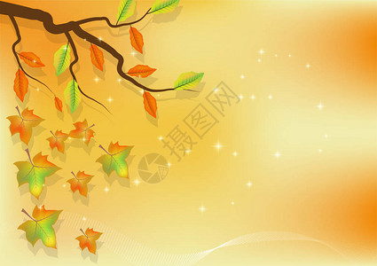 秋叶抽象背景图片