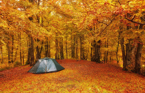 秋天森林的旅游营有红色和黄色树叶秋季风图片