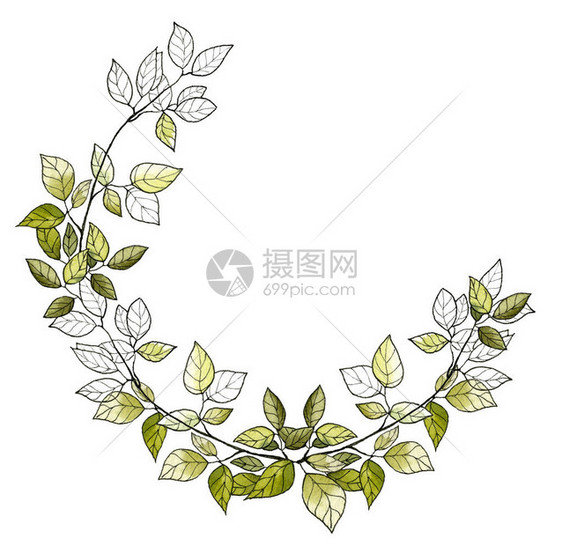 绿色叶和子的花环白背景上孤图片