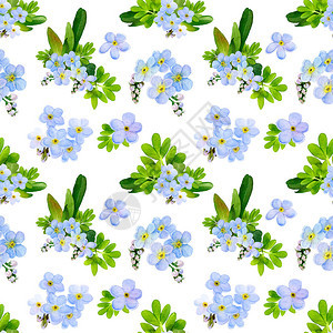 花卉图案与蓝色勿忘我花手绘水彩隔离在白色背景上图片