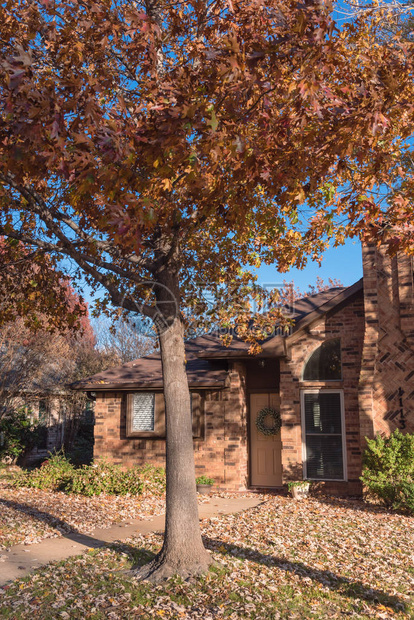 美国德克萨斯州花丘有五颜六色秋叶的单身家庭住宅入口在阳光明媚的秋天门廊和海湾窗户上有季节花环地上有叶子图片