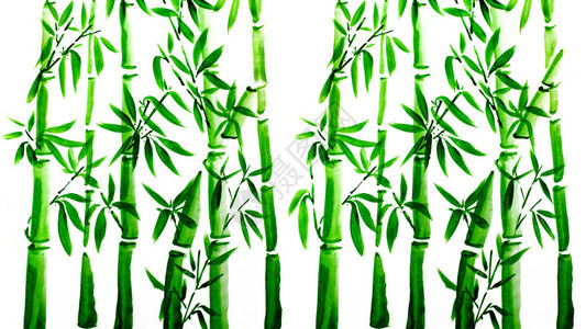 手工绘制绿竹叶和树枝墨画传统干纸笔刷绘画白底图片