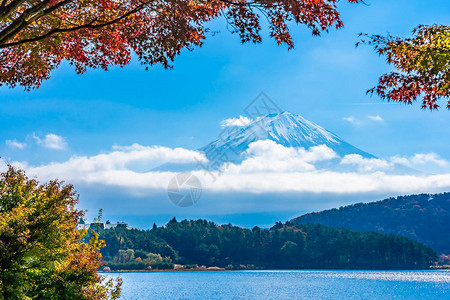 秋季环湖枫叶的富士山美景图片