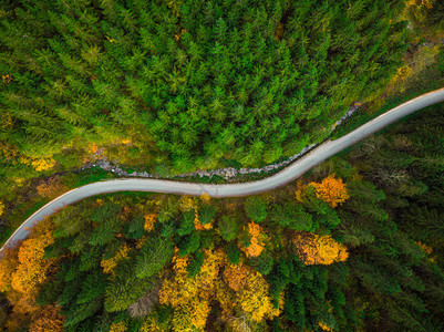 秋天的树叶在林地和蜿蜒的道路无人机的鸟瞰图片