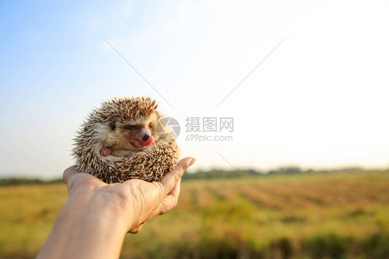 与自然背景旅行概念并驾齐驱的图片