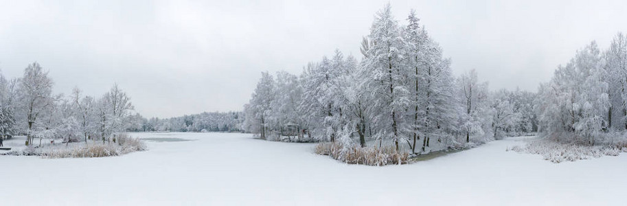 全景鸟瞰冬季美丽的景观树木覆盖着海霜和雪上面的冬天风景用无人机拍摄的景观照片图片