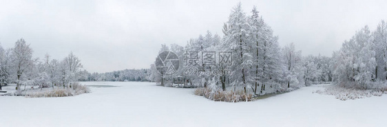 全景鸟瞰冬季美丽的景观树木覆盖着海霜和雪上面的冬天风景用无人机拍摄的景观照片图片