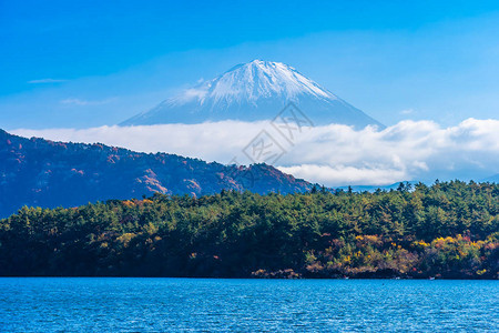 美丽的山地风景秋季在湖周围有木叶树的图片