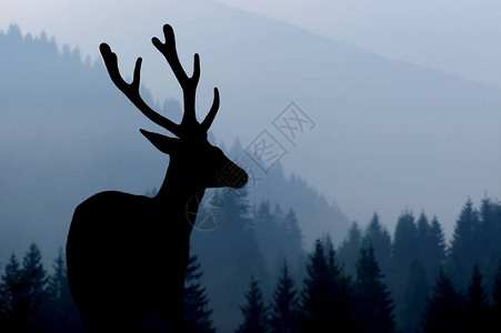 山背景上鹿剪影的荒野景观图片