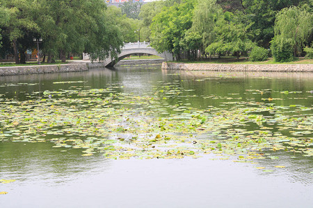 石拱桥背景图片