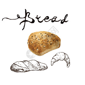 面包烘焙产品水彩和钢笔素描与刻字新鲜的面包法式长棍面包羊角面包和甜面包椒盐卷饼天然有机面包面图片