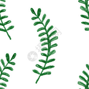 白色绿罗勒枝草本植物叶子绘图植物花卉图案形创意图片