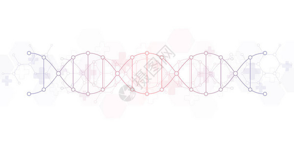 DNA链和分子结构基因工程或实验室研究医疗或科技设图片