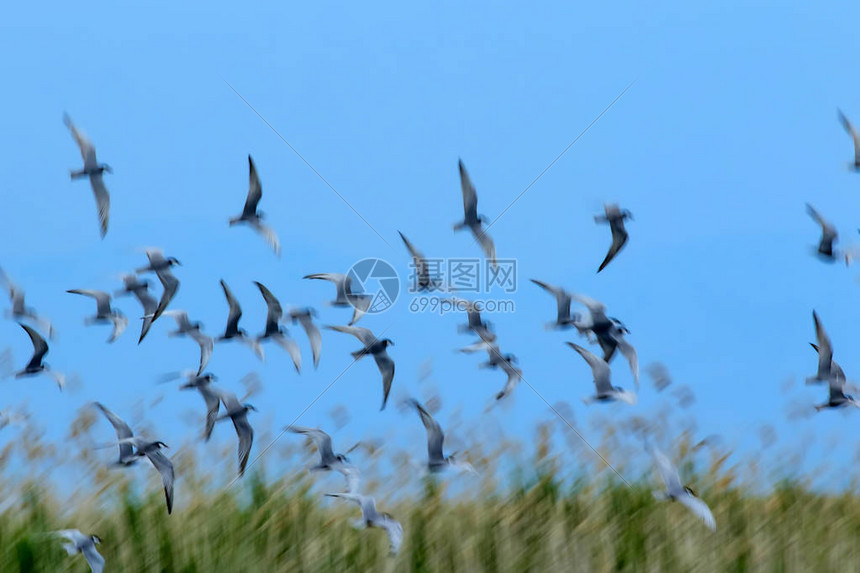 飞鸟体育发布电竞与传统体育融合趋势白皮书引发行业热议