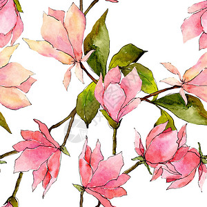 粉红色的玉兰花植物花野生春叶野花水彩插图集水彩画时尚水彩画无缝背景图案织物图片
