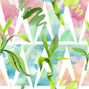 竹绿叶植物园花卉叶子水彩插图集水彩画时尚水彩画无缝背景图案织物图片