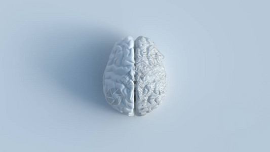 白人脑的3个面包括1个粉碎的侧面图片