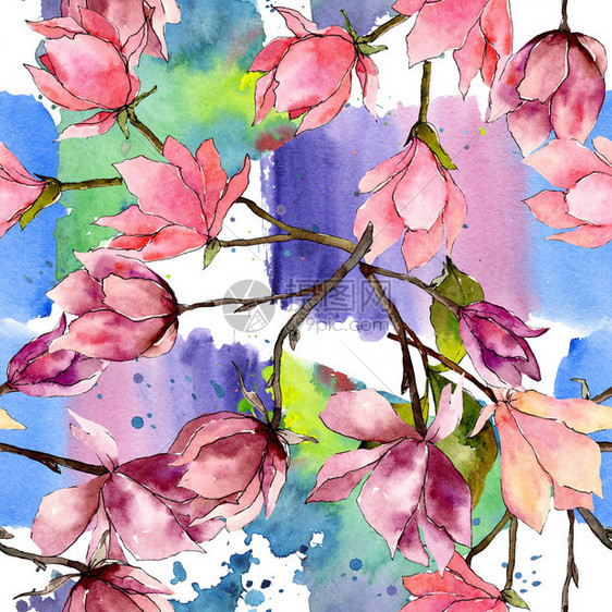 粉红色的玉兰花植物花野生春叶野花水彩插图集水彩画时尚水彩画无缝背景图案织物图片