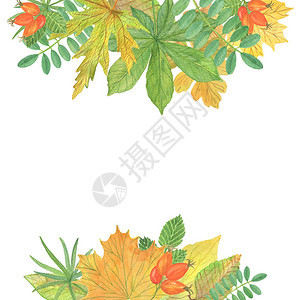 绿叶和黄叶的秋季插图背景图片
