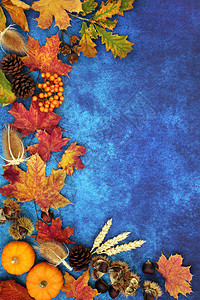 秋季背景与食物植物群和动物群在斑驳的蓝色背景上的边界组成顶视图丰收节图片