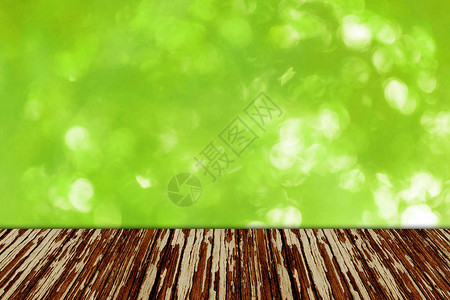 绿树布凯光质背景夏日明光柔软图片