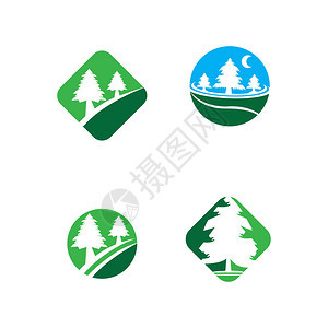 松树标志插画矢量设计背景图片